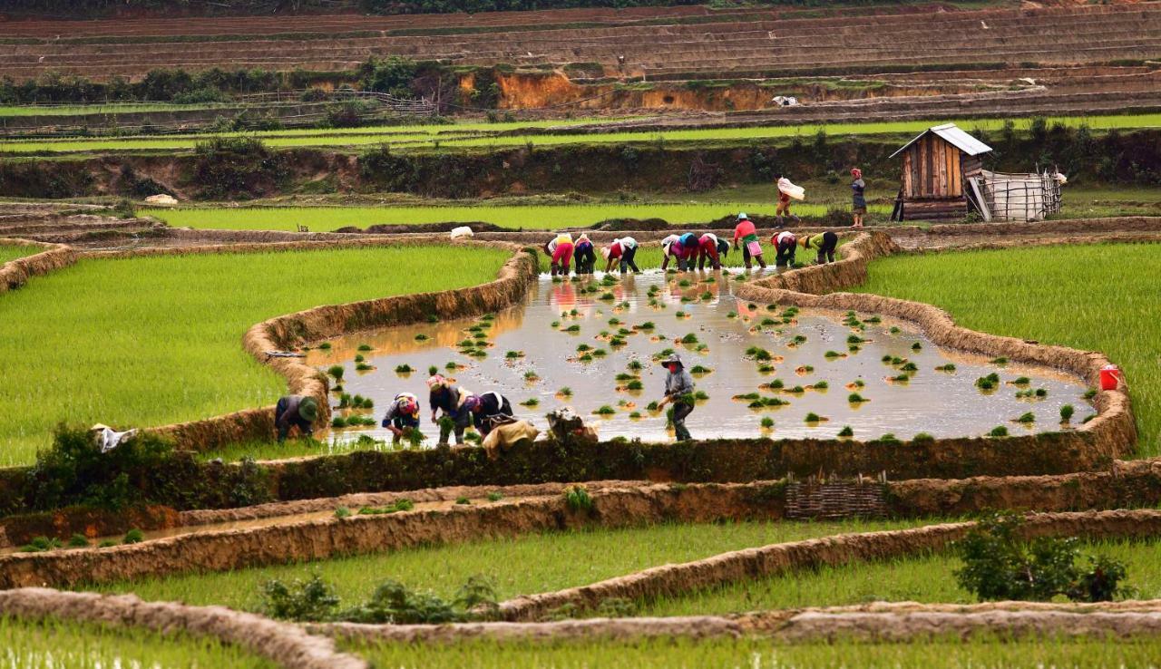 Mu Cang Chai Eco Lodge Nam San Exterior foto